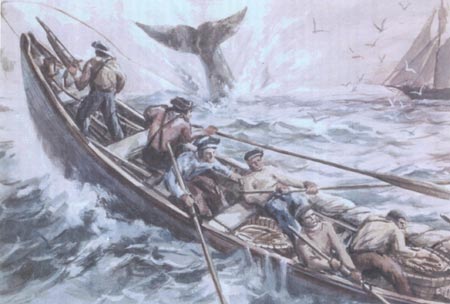 The Whaleboat