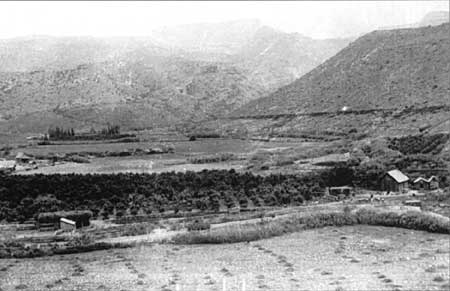 Early view of Fruita