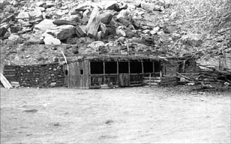 Alma Chesnut's animal shed