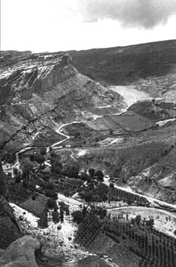 View of Fruita about 1940