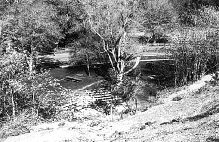 View of group picnic area