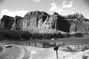 Jorgensen Pasture