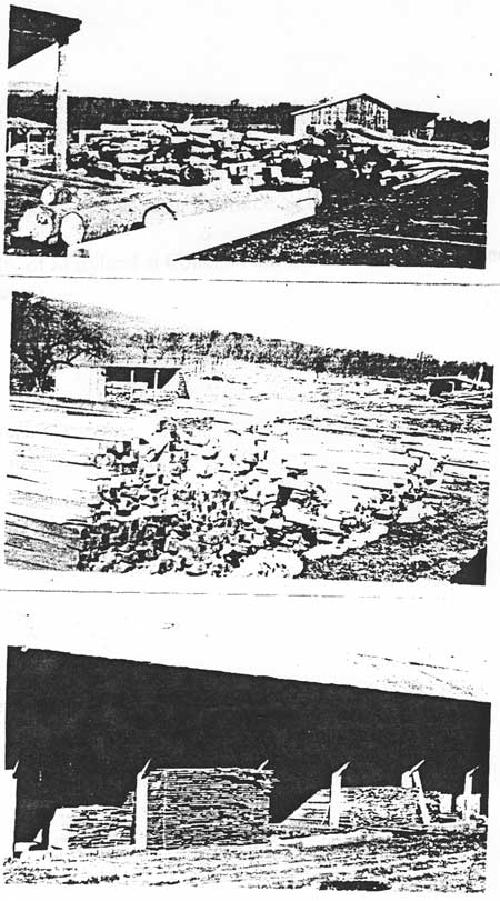 saw mill photos