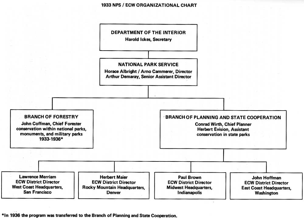 Organizational Chart With Narrative Description