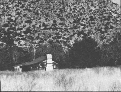 Stafford Cabin