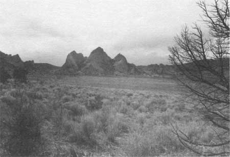 Twin Sisters rock formation