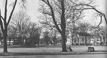 Lexington Green