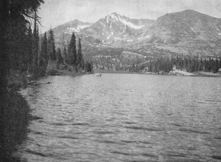 forested subalpine lake