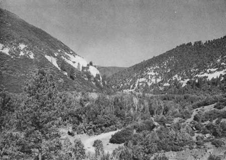 McPhee Dam site