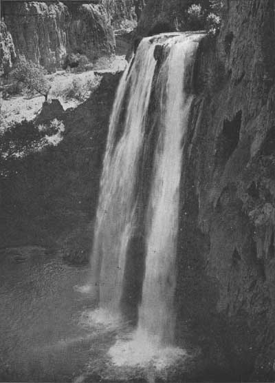 Havasu Falls