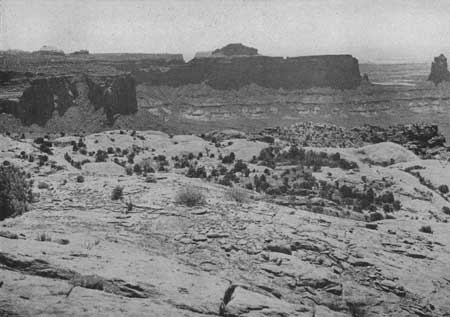 view from Upheaval Dome