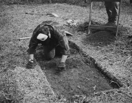 archeological excavation