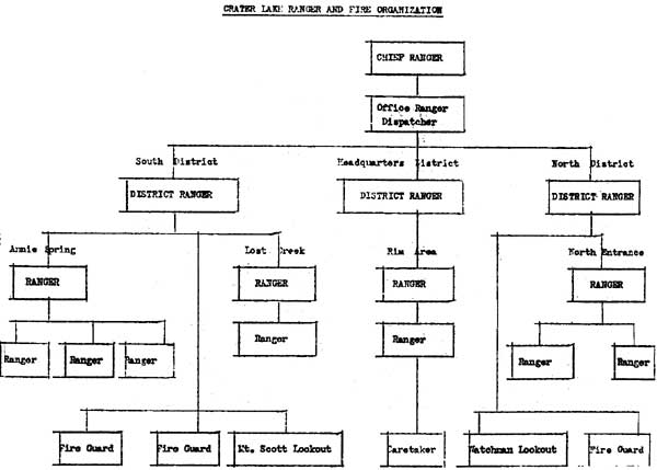 org chart