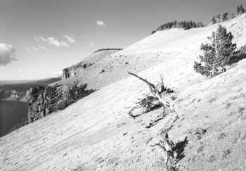 View along Rim Drive