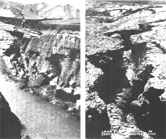 Lava snake