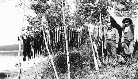 Fish Camp at Cape of Good Hope