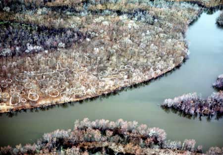 northern portion of Sny Magill Mounds