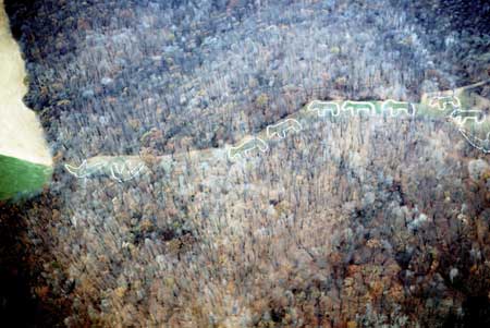 Marching Bear Mound Group