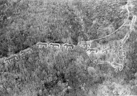 Marching Bear Mound Group