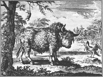 The Buffalo