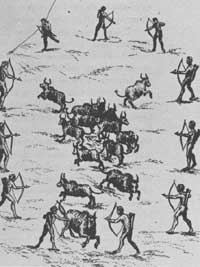 Natchez Indians hunt buffalo