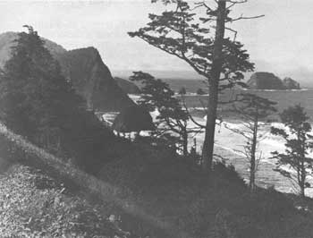 Cape Meares