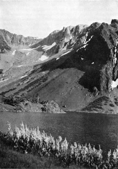 Mount Dana