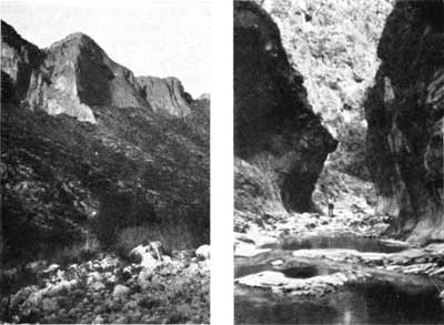 Guadalupe
Mountains