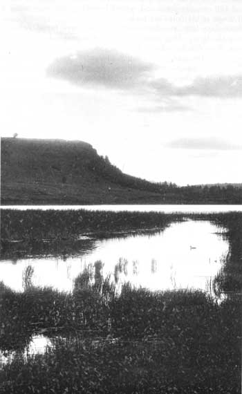 Trumpeter Lake, Yellowstone