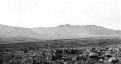 Proposed pronghorn range, Toroweep Valley, Grand Canyon