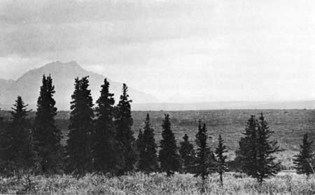 distant mountains, tundra plain