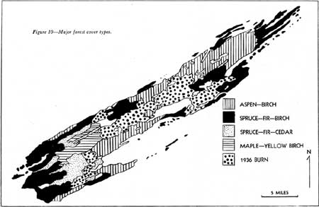 map showing forest cover types