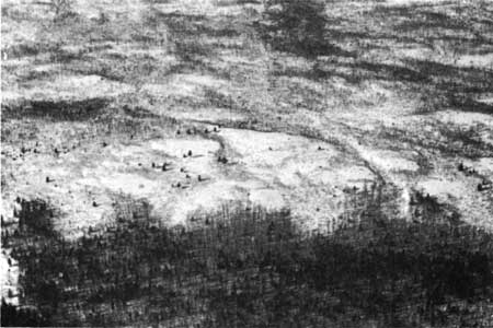 area burned in 1936 forest fire