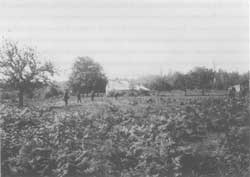 Fort Clatsop site