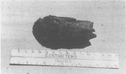 Materials collected by Caywood