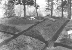 Schumacher excavations