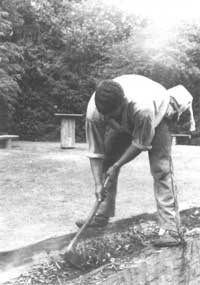 Dugout canoe building