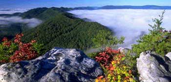 Cumberland Gap NHP