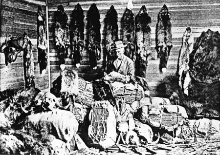 man sorting furs