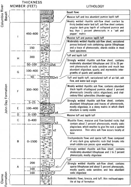 cross-section