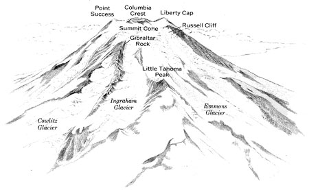 sketch of Mount Rainier