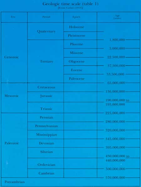 table