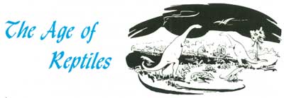 The Age of Reptiles