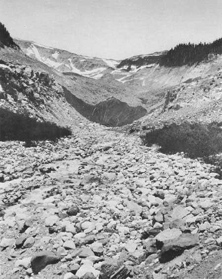 Nisqually Glacier
