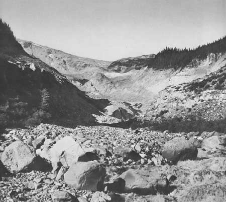 Nisqually Glacier