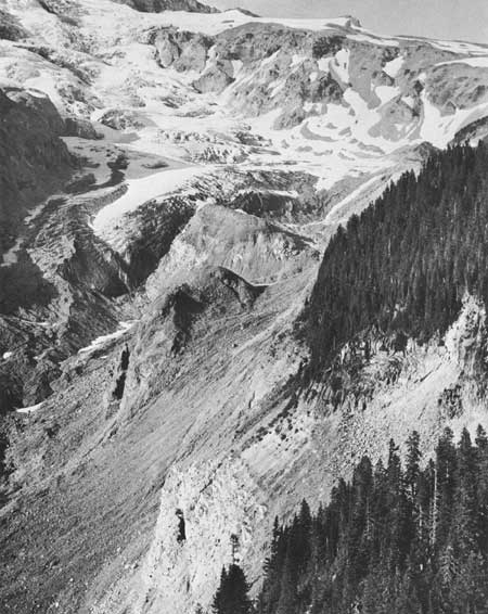 Nisqually Glacier