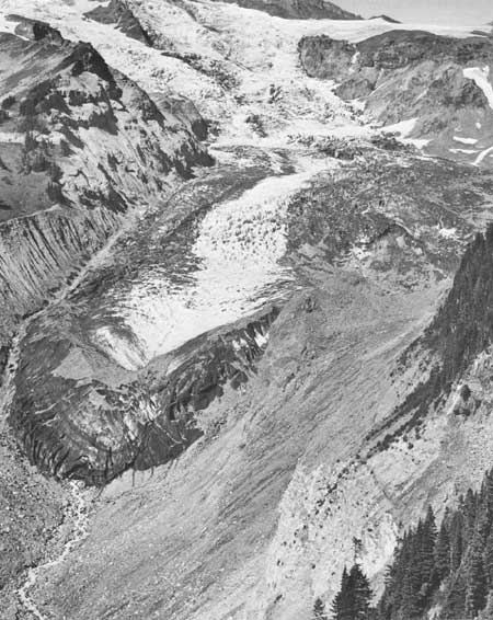 Nisqually Glacier
