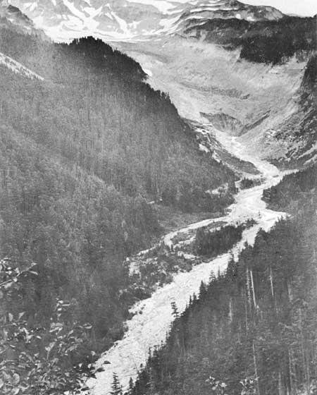 Nisqually River valley
