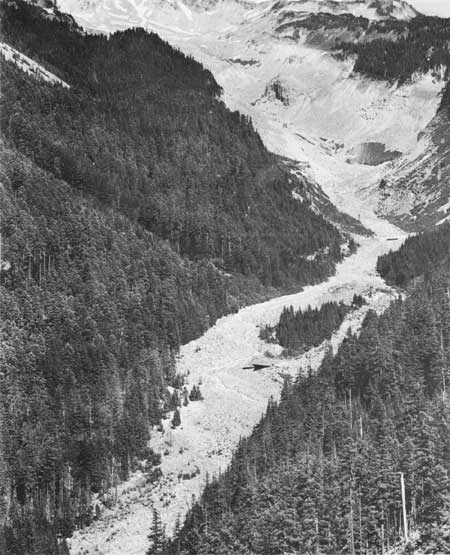 Nisqually River valley