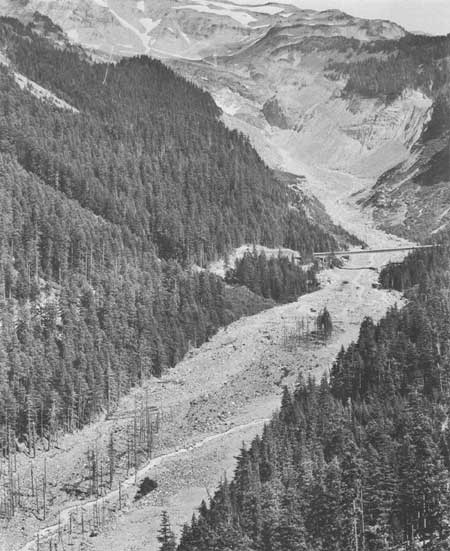 Nisqually River valley